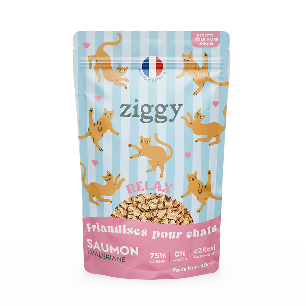 Friandises pour chat Relax au saumon & Valériane 40g