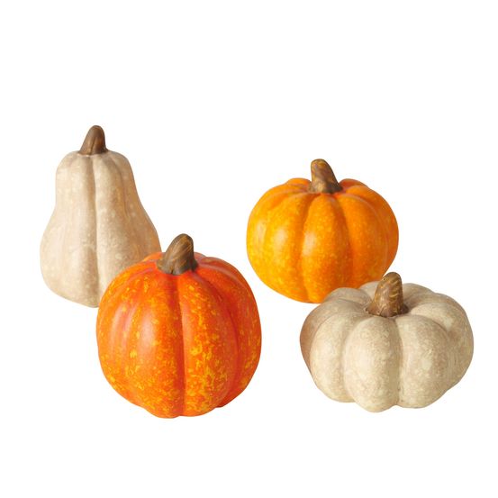 4 courges en terre cuite, coloris mixte - H.6,5cm