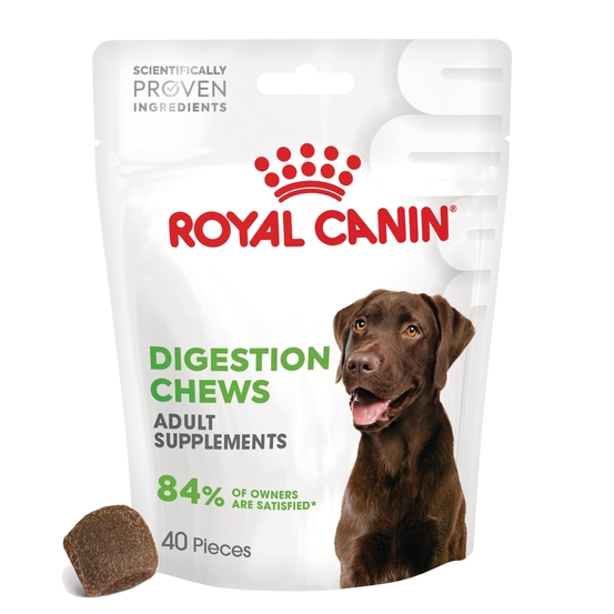 Adult Digestion, supplément alimentaire pour chien adulte - 160g
