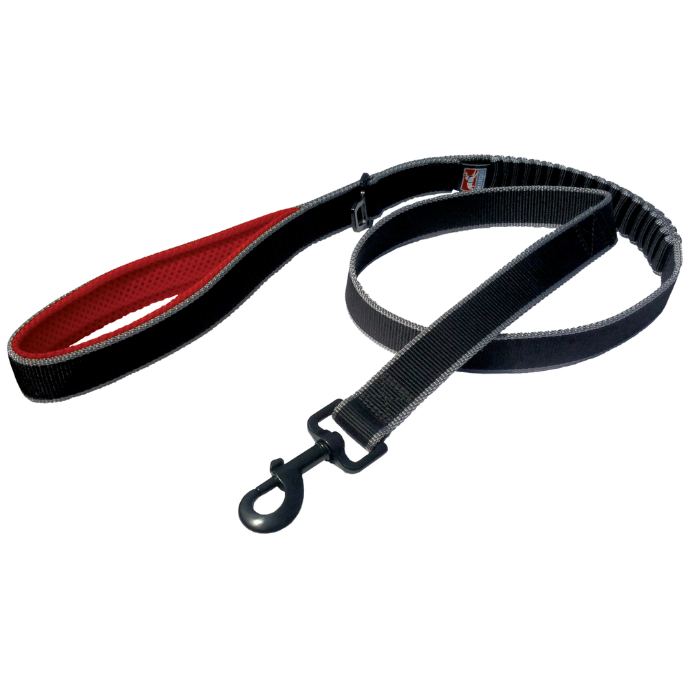 Laisse de traction pour chien, 