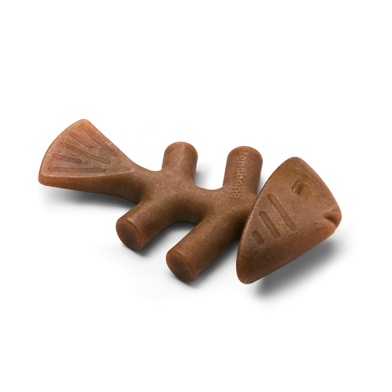 Jouet pour chien, Fishbone saumon L