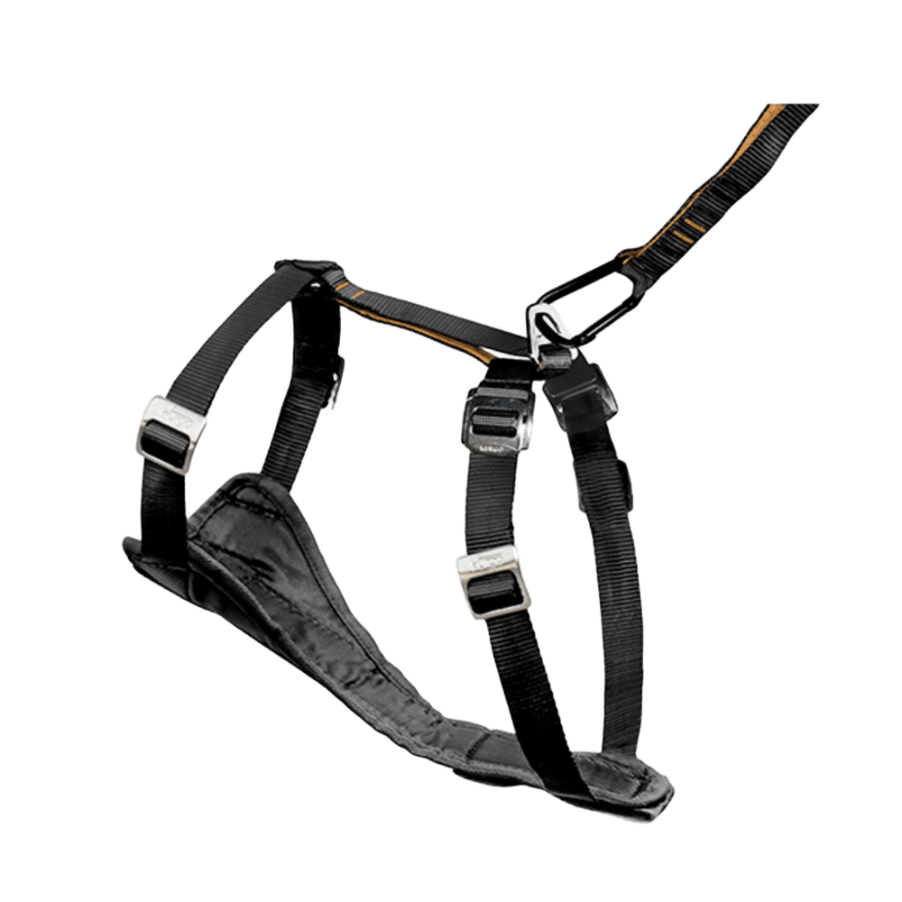 Harnais de sécurité pour chien 'Tru-Fit', coloris noir - L