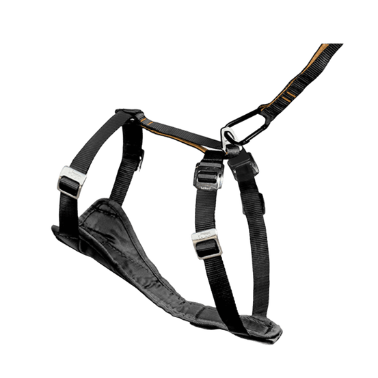 Harnais de sécurité pour chien 'Tru-Fit', coloris noir - L