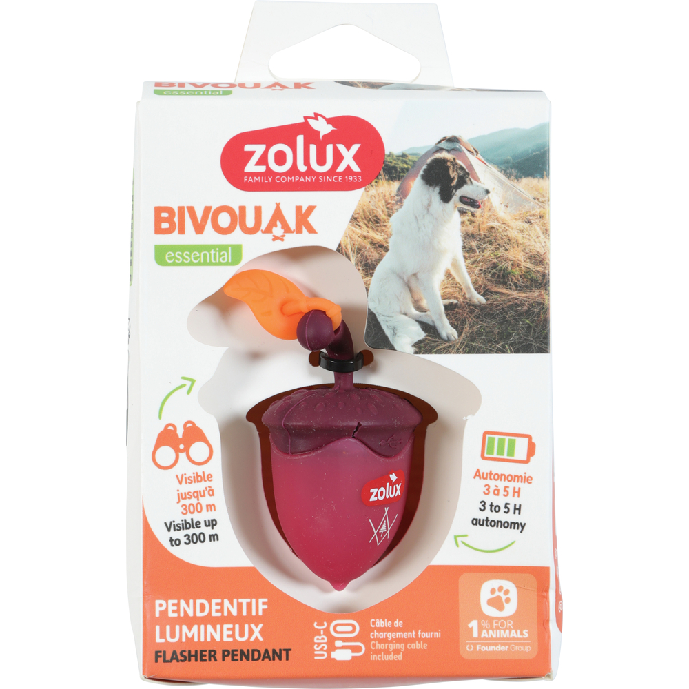 Pendentif pour chien, Flasher lumineux USB Bivouak - rouge