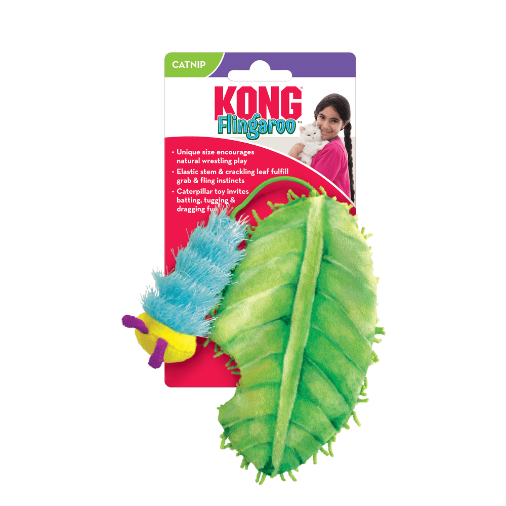 Jouet pour chien, chenille multicolore