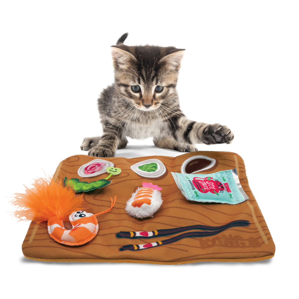 Jouet pour chat, pull -A-partz suchi