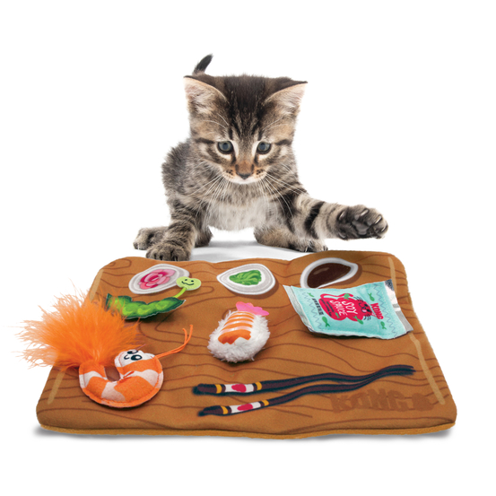 Jouet pour chat, pull -A-partz suchi