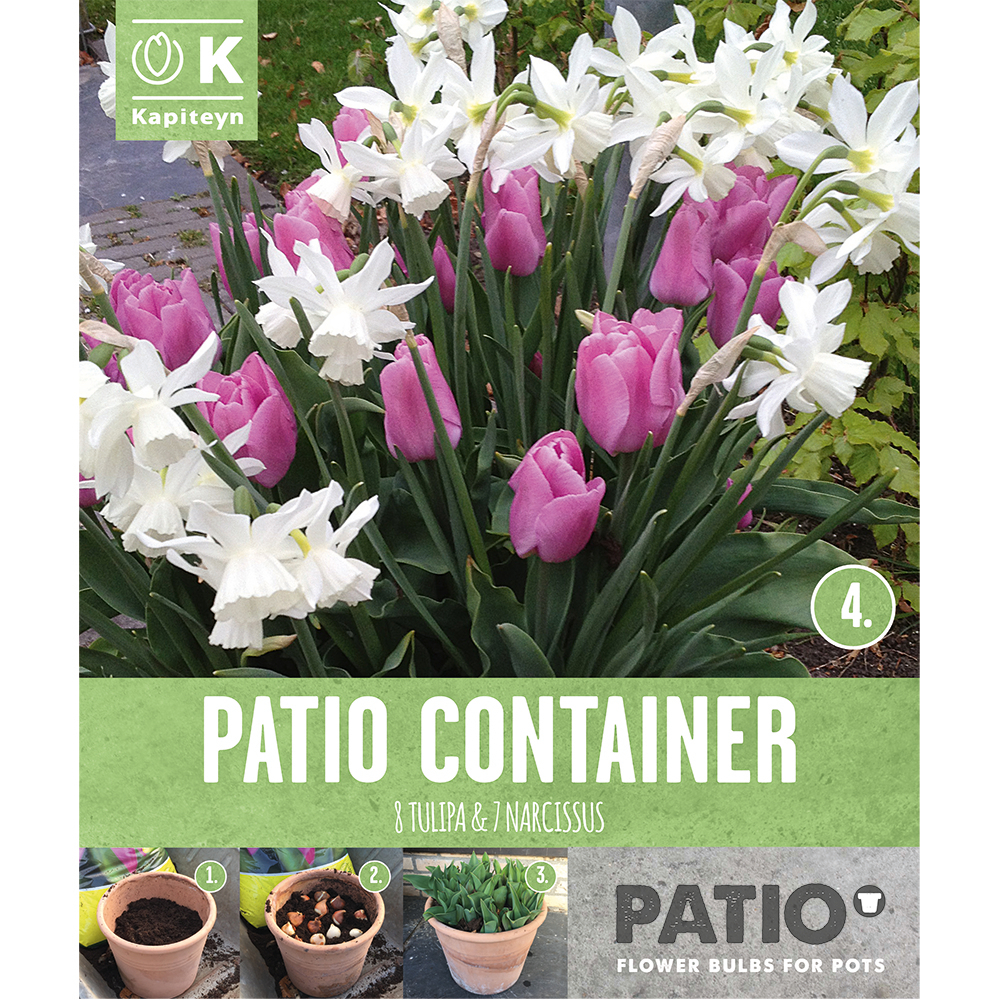 Bulbes de narcisses et tulipes : coloris rose/blanc x15