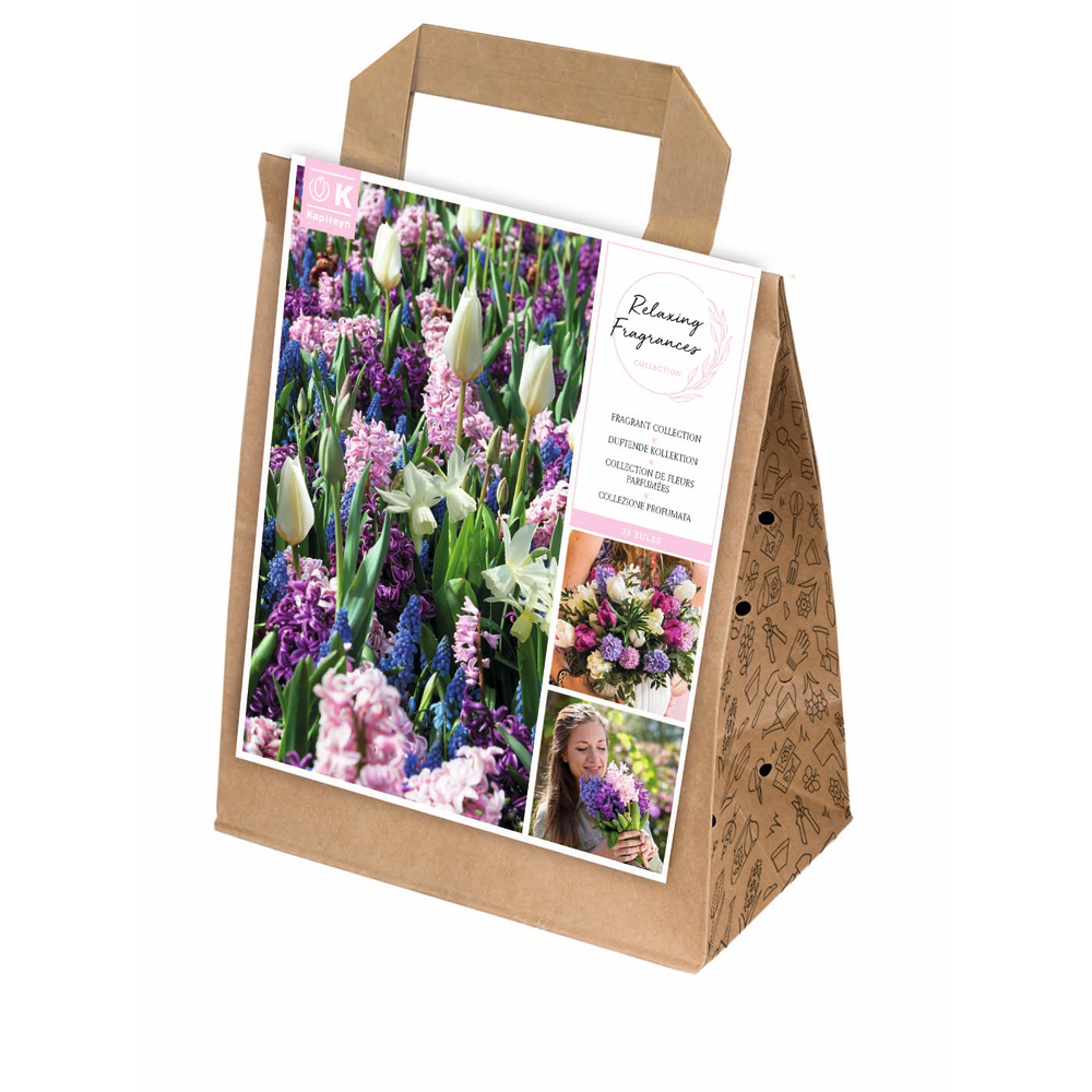 Bulbes en mélange parfumé : coloris mixte x30