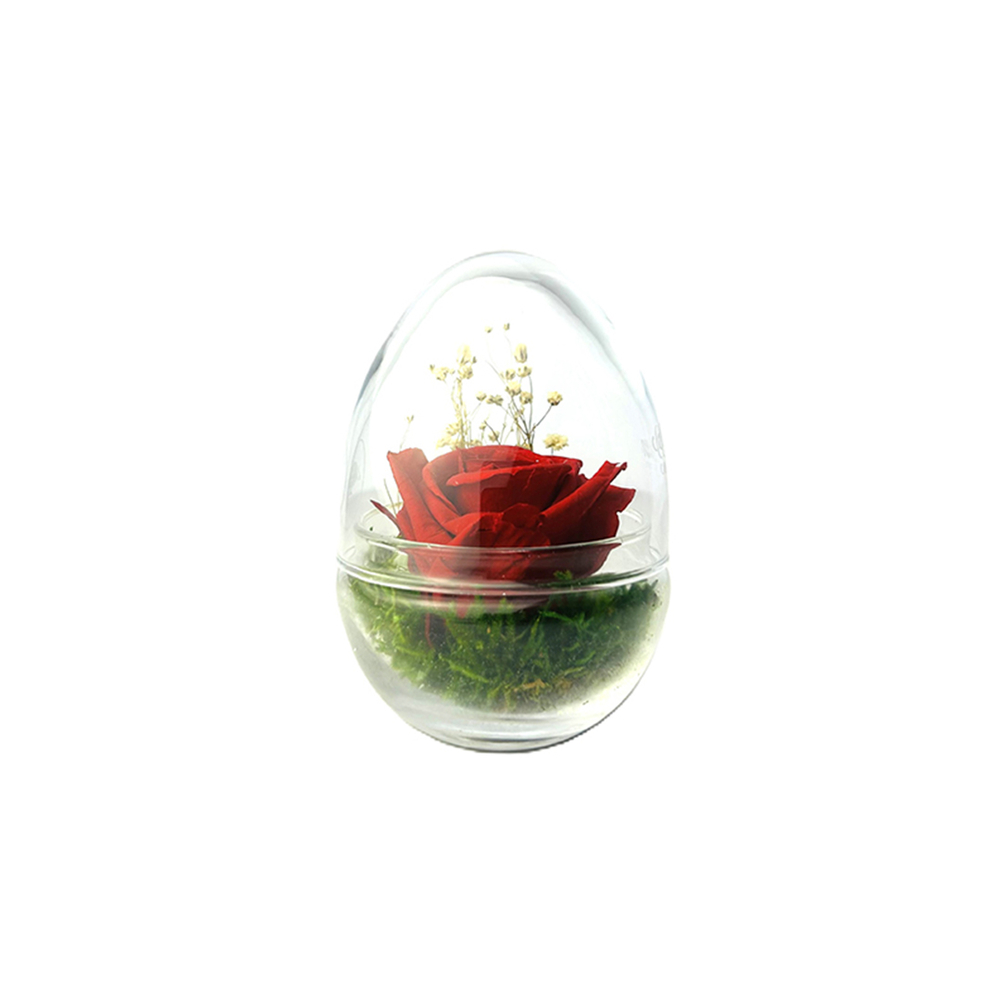 Verrine Jurassic, rose rouge stabilisée - D.7xH.10cm