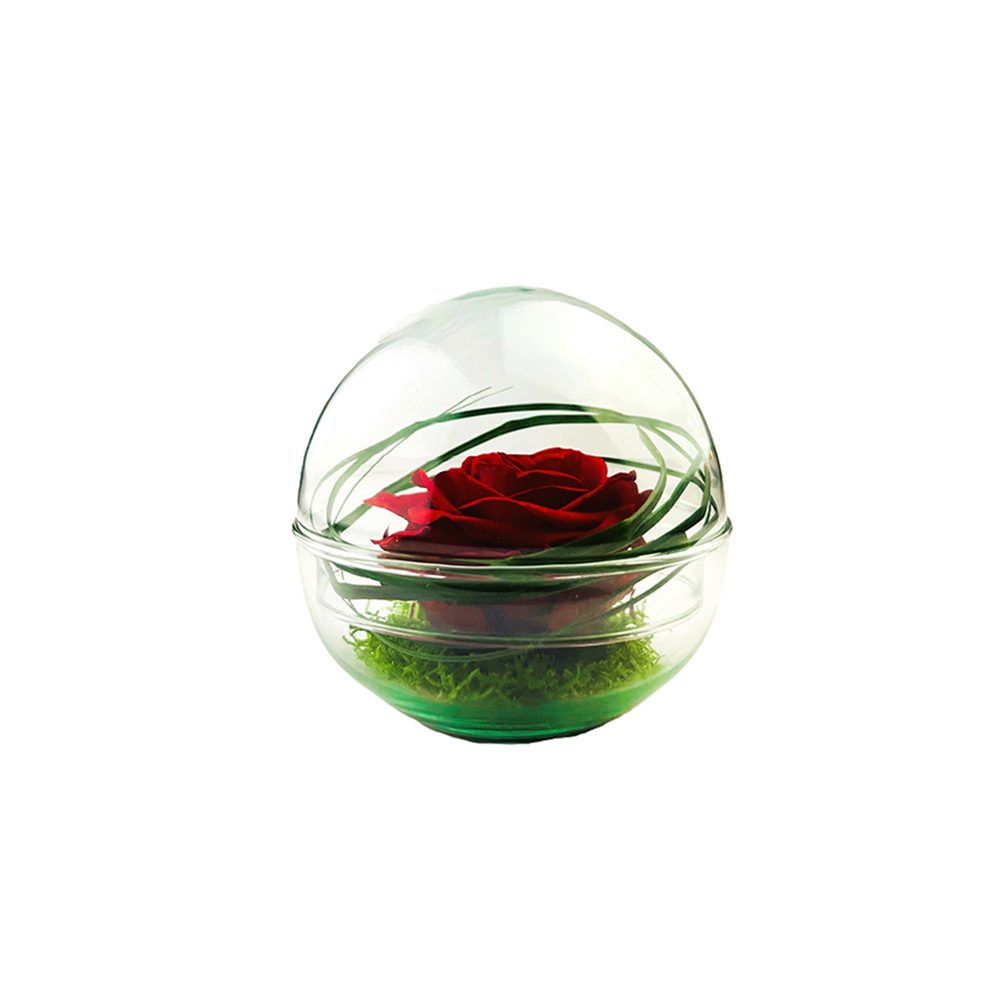 Verrine Roma, rose rouge stabilisée D.12xH.12cm