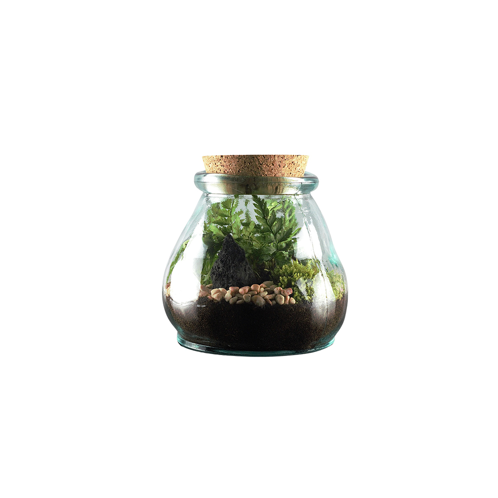 Terrarium 'Bila Uso' M : D.15cm - H.15cm