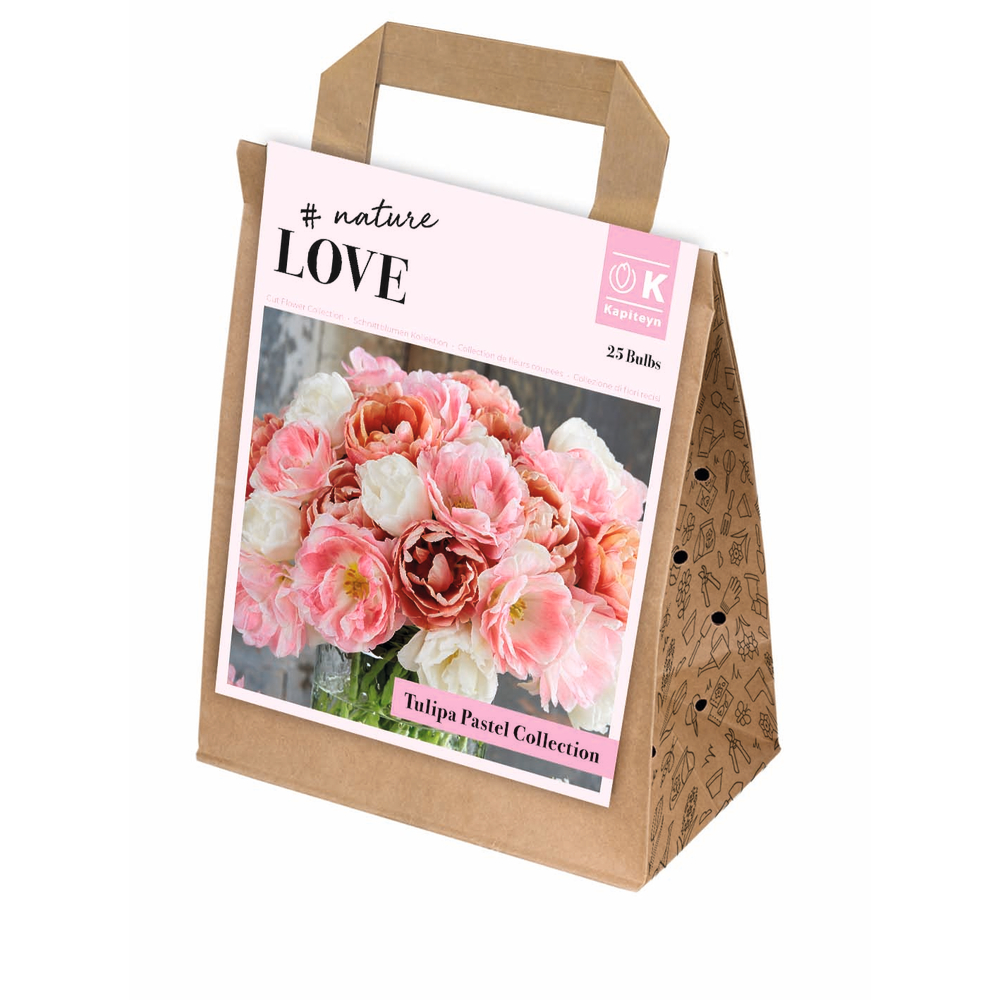 Bulbe de tulipes doubles, coloris pastel x25