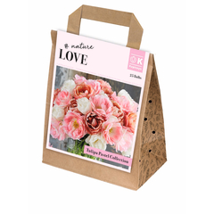 Bulbe de tulipes doubles, coloris pastel x25