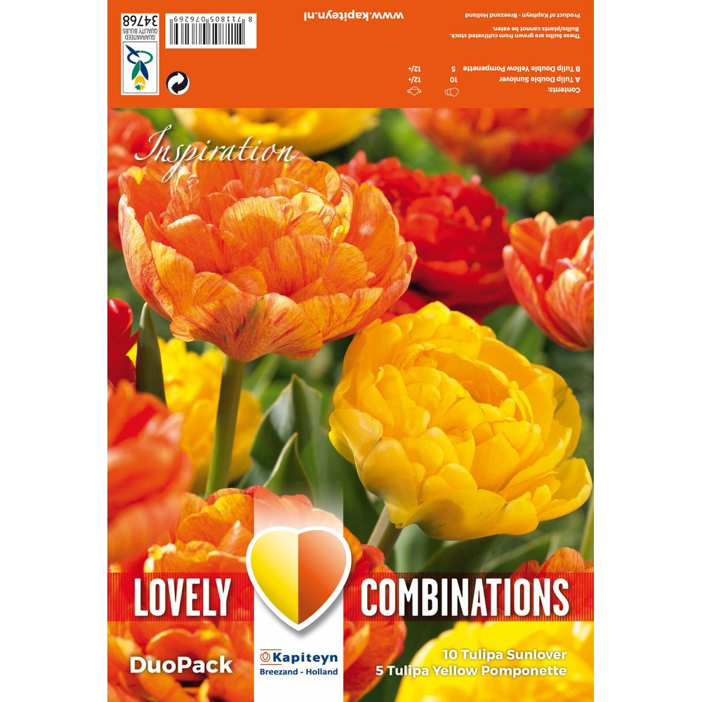 Bulbes de tulipes doubles, coloris mixte jaune et orange x15