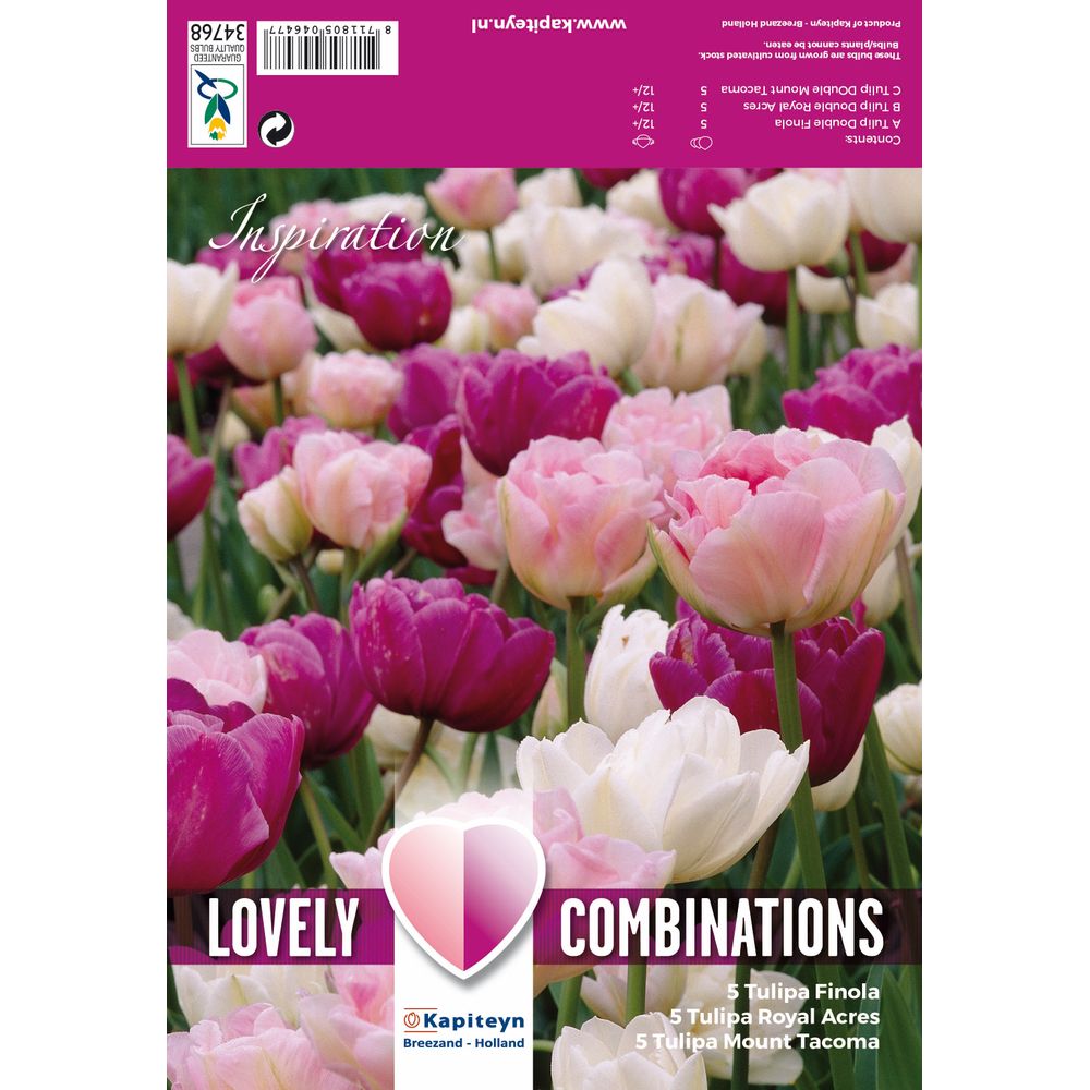 Bulbes de tulipes doubles, coloris assortis rose, pourpre et blanc x15