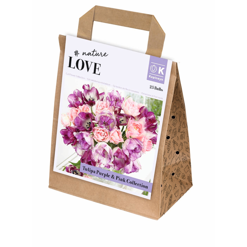 Bulbes de tulipes Purple & Pink collection, coloris mixte x25