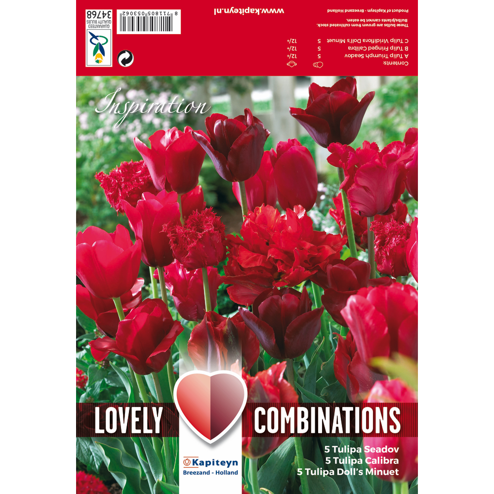 Bulbes de tulipes, assortiment de variétés rouges x15