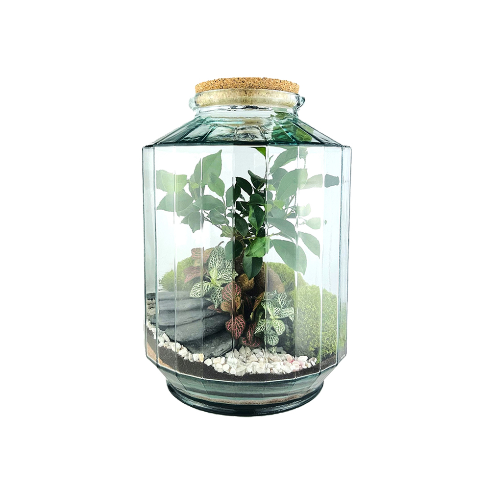 Terrarium 'Napoli' L : D.25cm - H.37cm