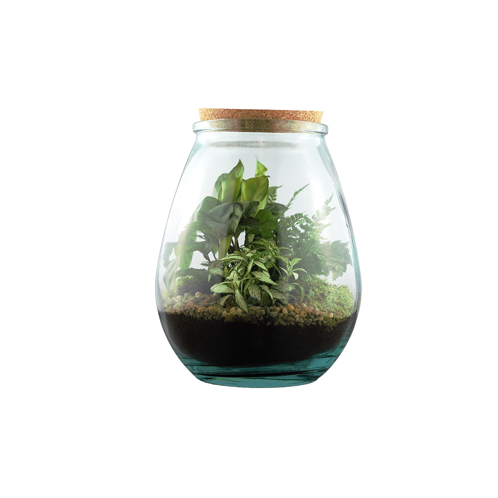 Terrarium 'Darasa' M mix : D.19cm - H.23cm