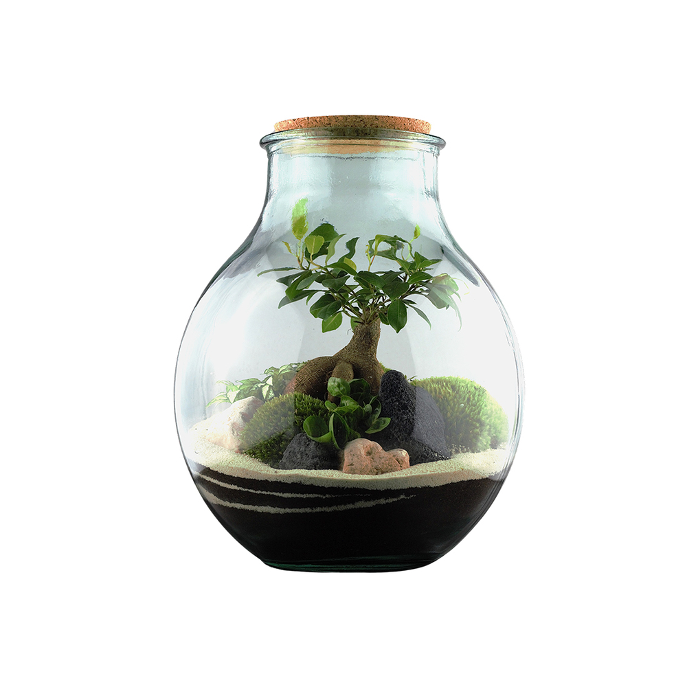 Terrarium 'Mimea' : D.29cm - H.36cm
