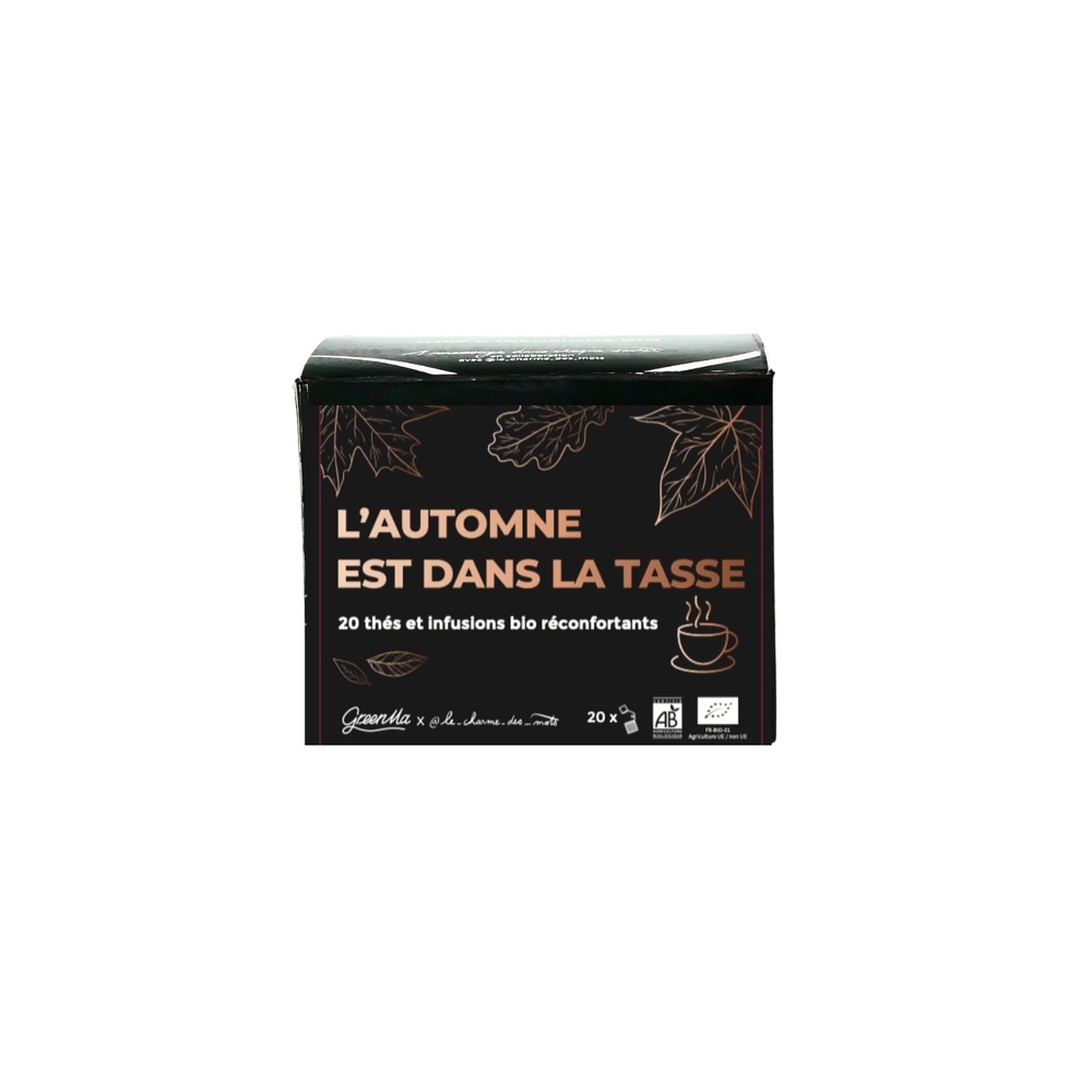 Coffret thés et infusions bio : ''L'automne est dans la tasse'' - x20