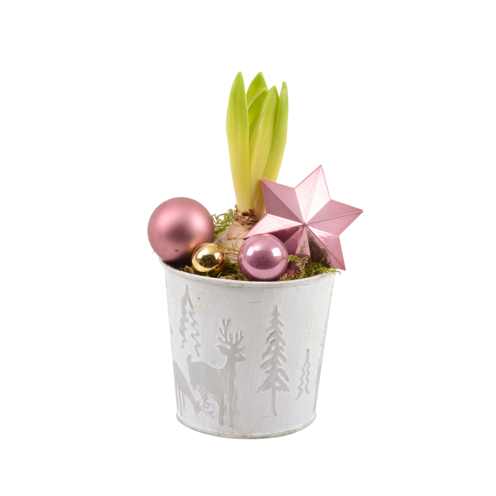 Jacinthe : pot décoratif 'chic', D.10cm - H.20cm