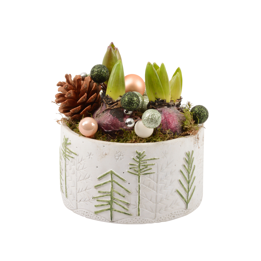 Jacinthe x4 : pot décoratif 'moderne', D.16cm - H.21cm