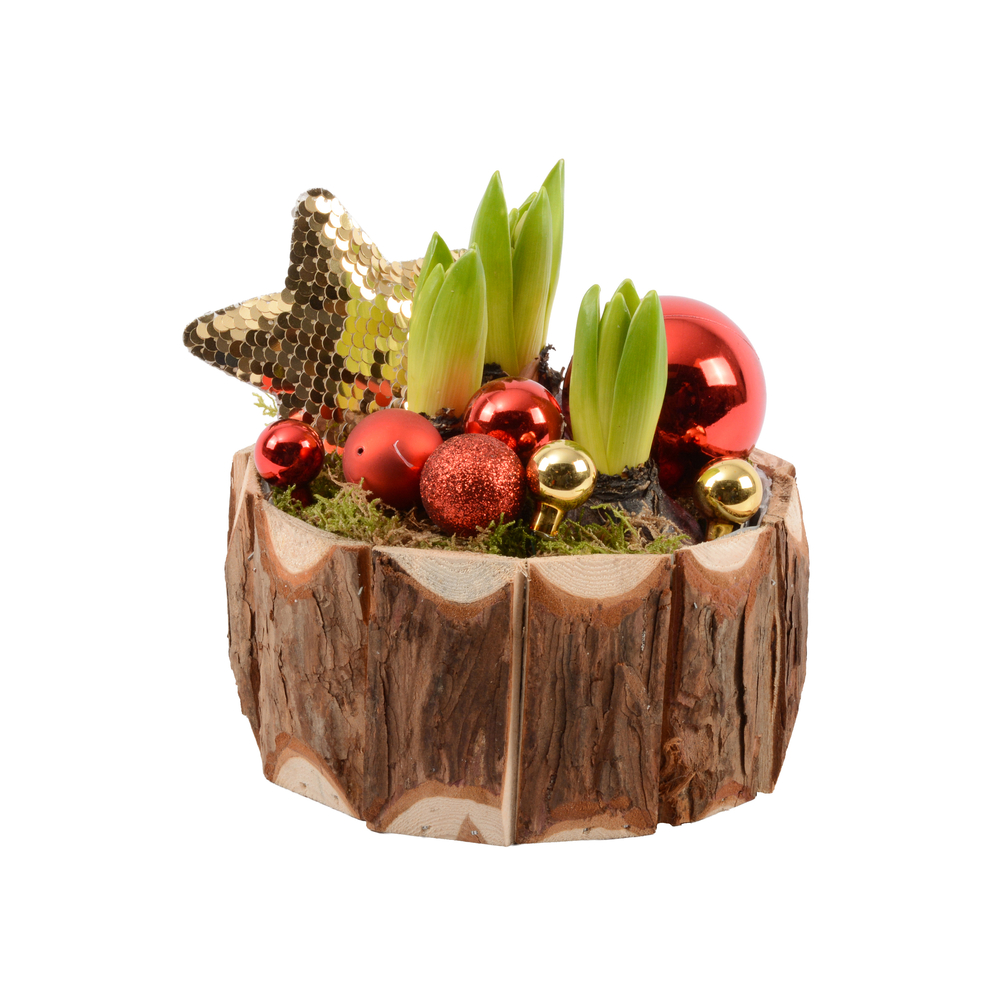 Jacinthe x3 : pot décoratif 'enfant', D.16cm - H.20cm