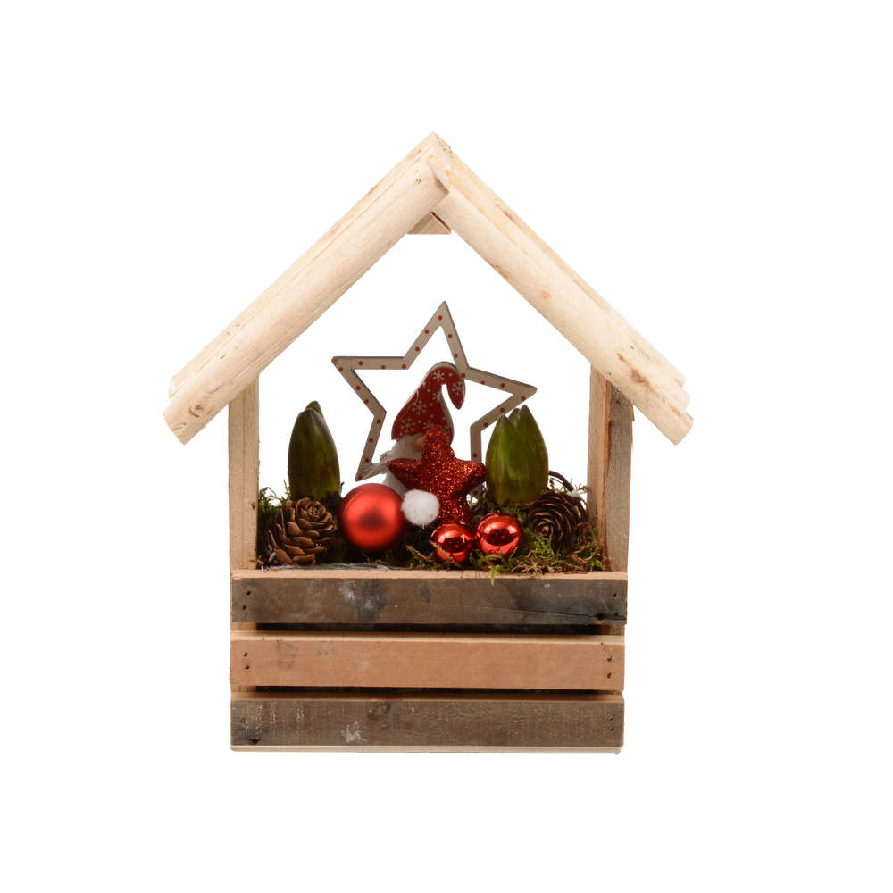 Jacinthe, 2 bulbes : pot décoratif 'enfant' D.16cm