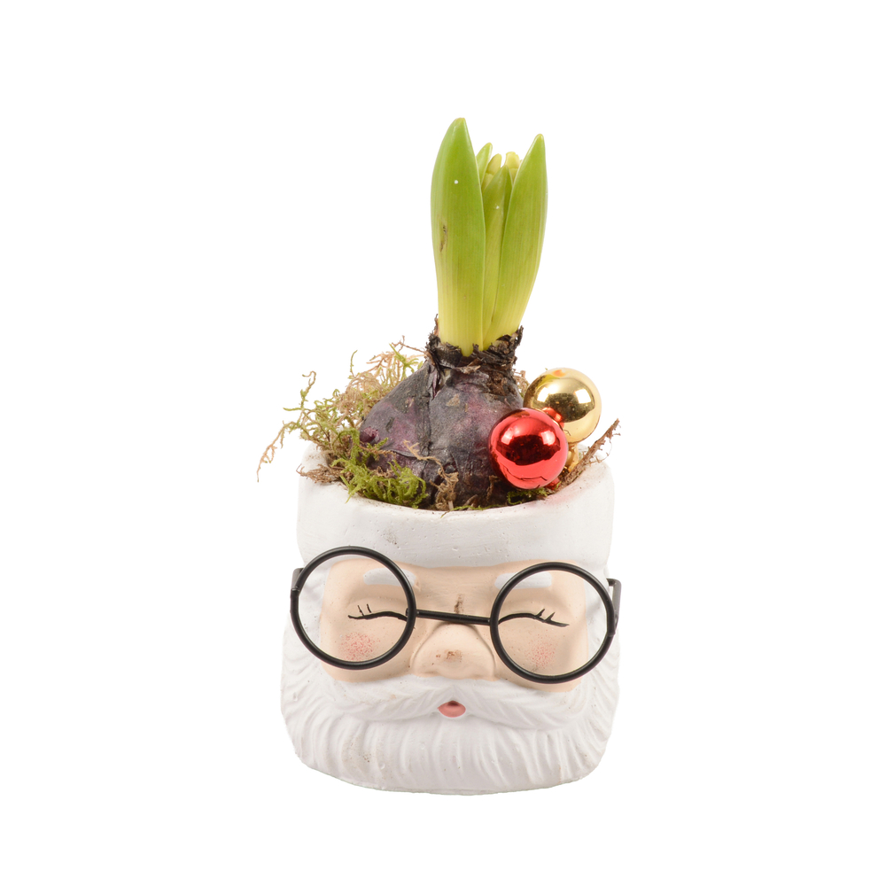 Jacinthe : pot décoratif 'enfant', D.10cm - H.16cm