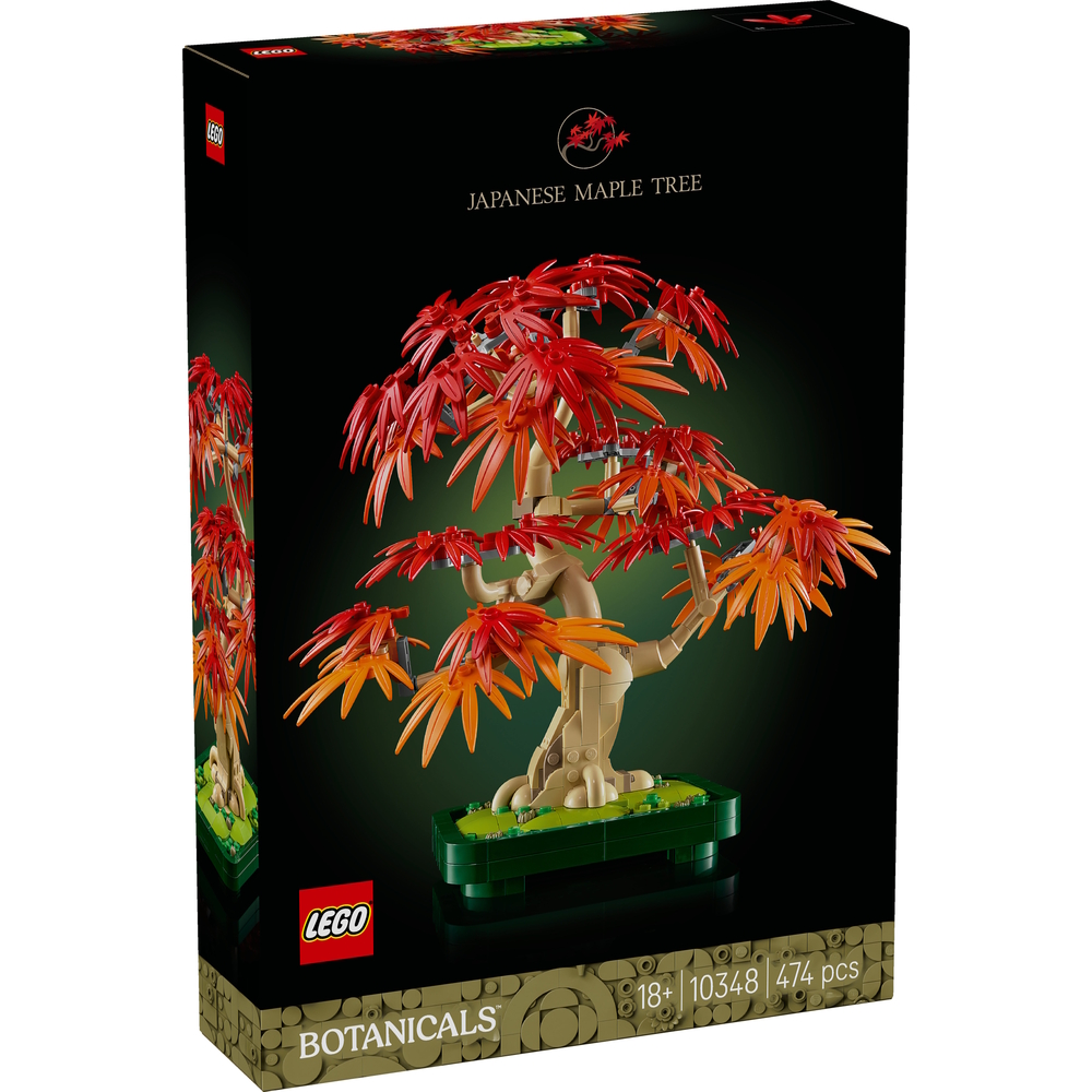 Bonsaï d’érable rouge du Japon, set Botanicals, 474 pièces - H.38,2cm