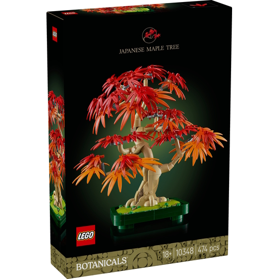 Bonsaï d’érable rouge du Japon, set Botanicals, 474 pièces - H.38,2cm