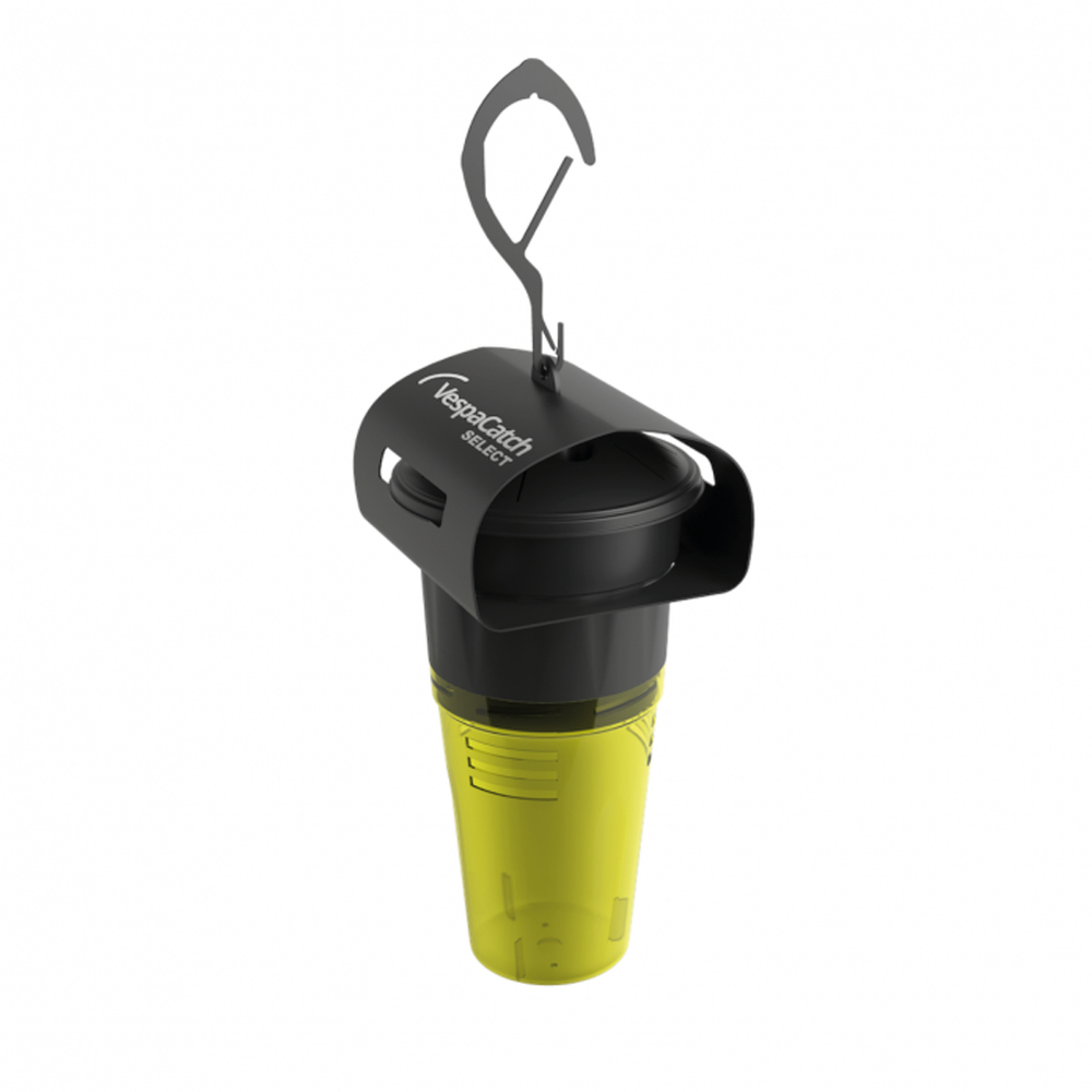 Piège sélectif à frelon asiatique : Vespacatch Select