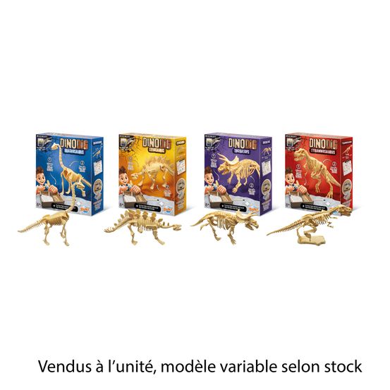 Kit éducatif 'Dino Dig' avec plateau pour creuser, modèles variés