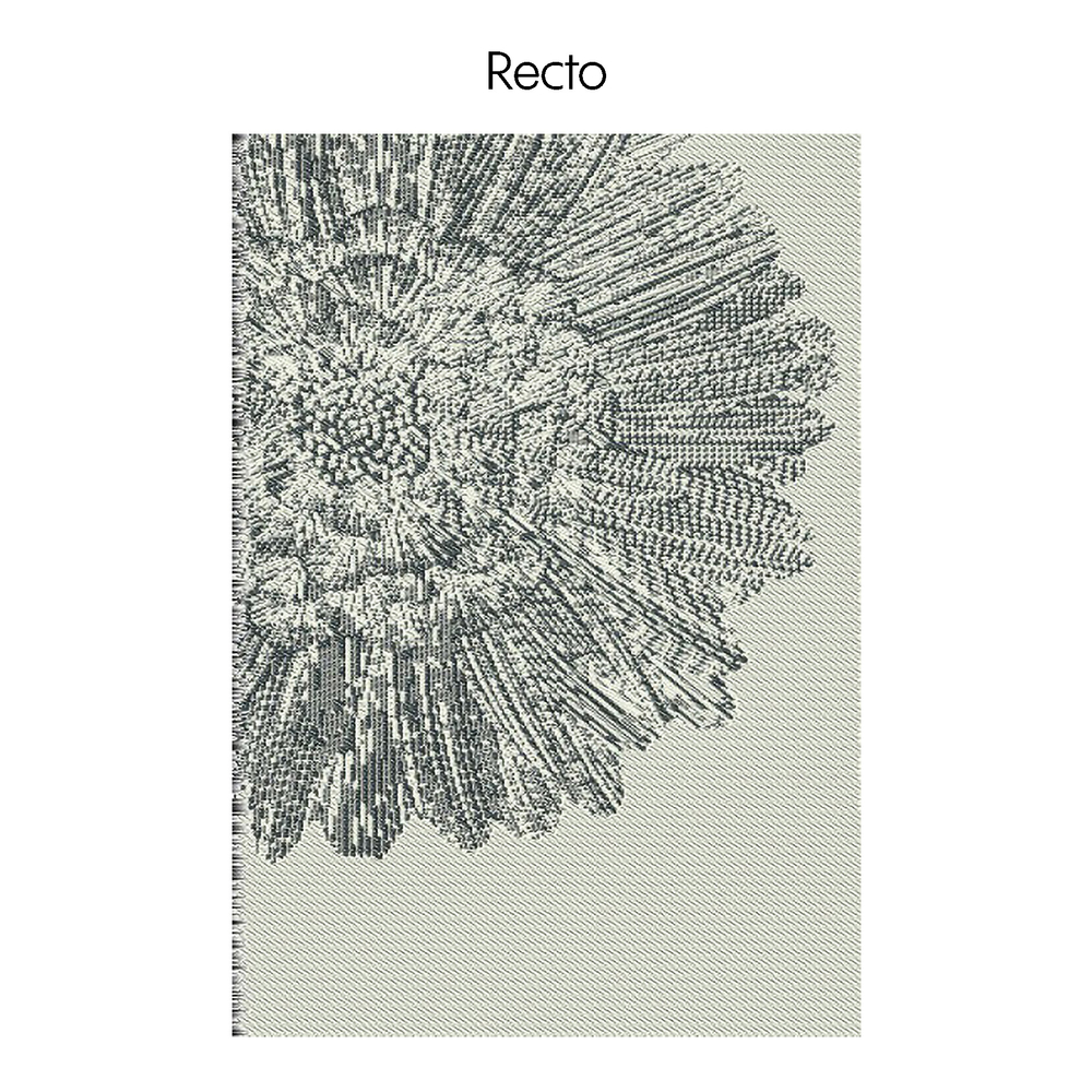 Tapis d'extérieur rectangulaire Jacquard Rome - 240x160cm