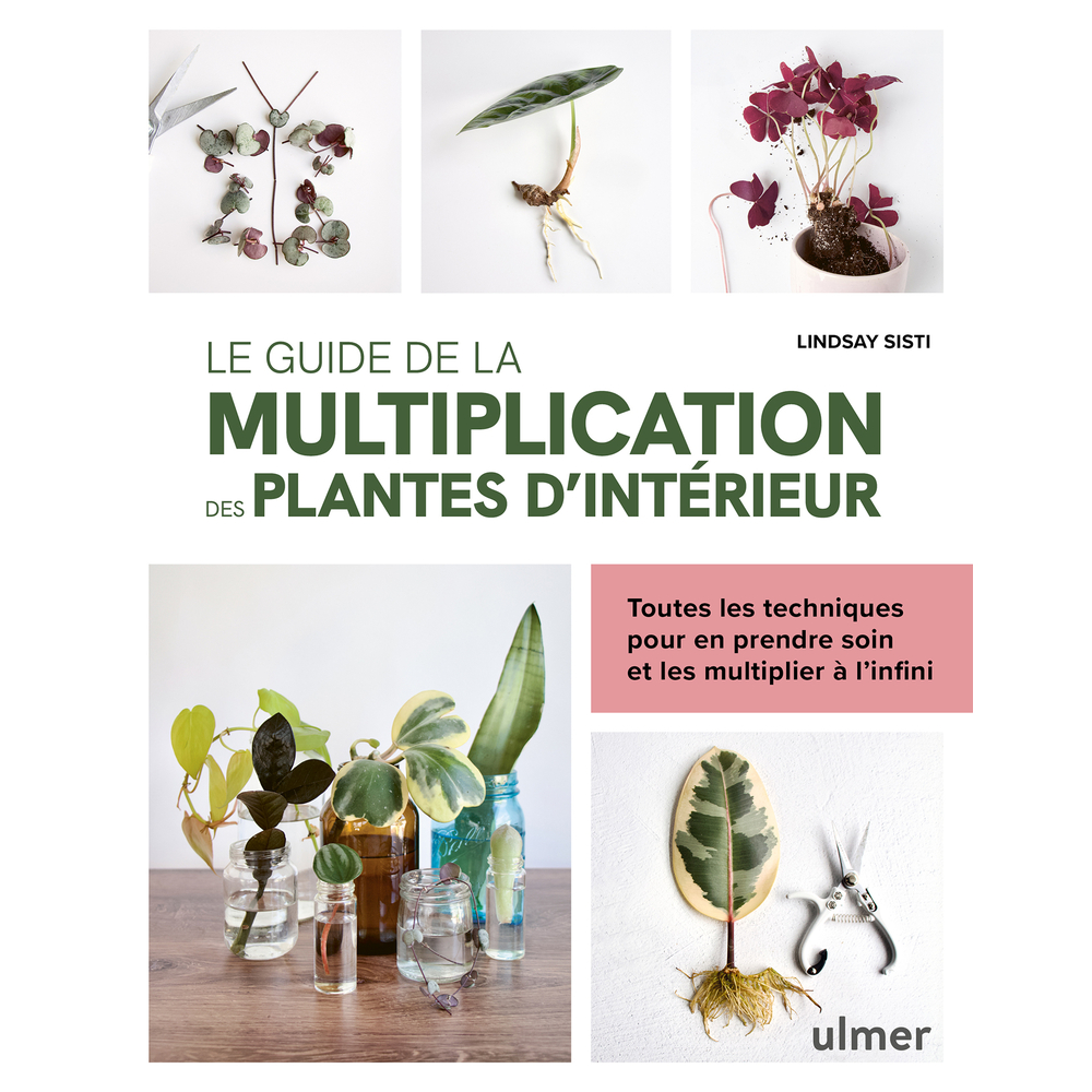 Livre : 'Le guide de la multiplication des plantes d'intérieur'