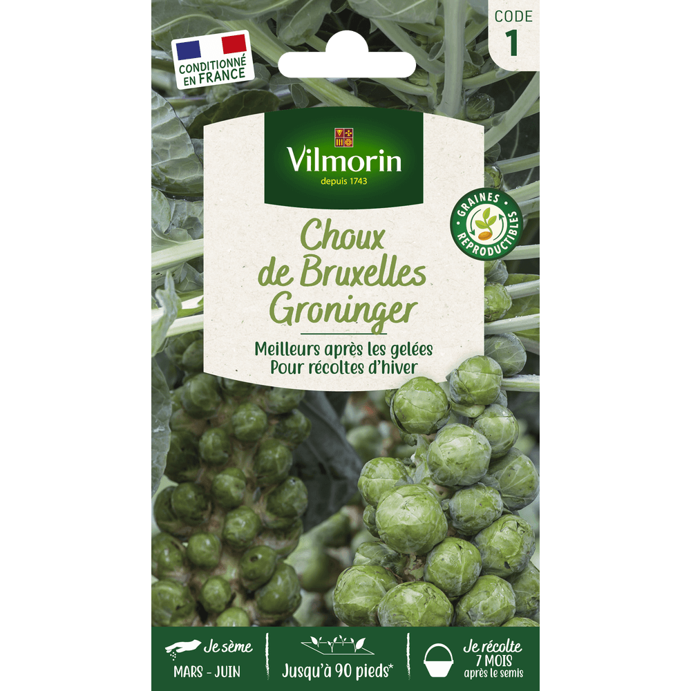 Graines, choux de Bruxelles Groninger
