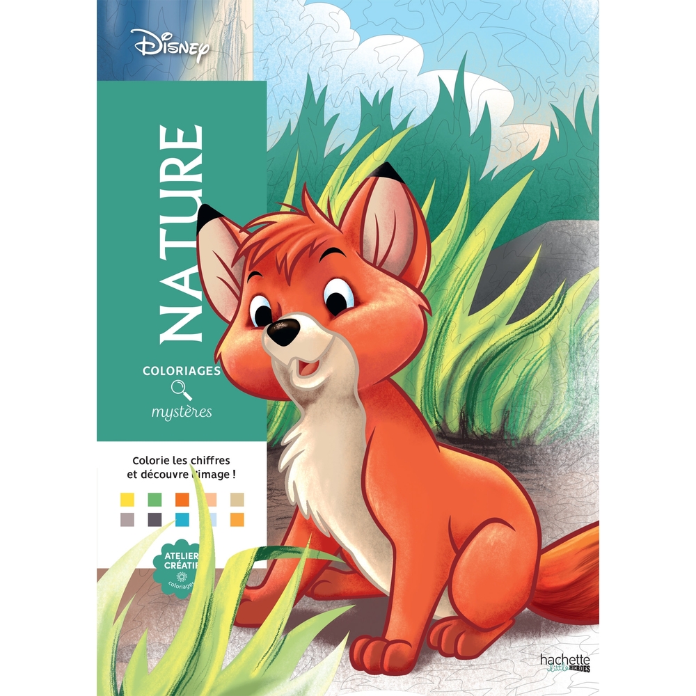 100 coloriages mystères 'Nature'