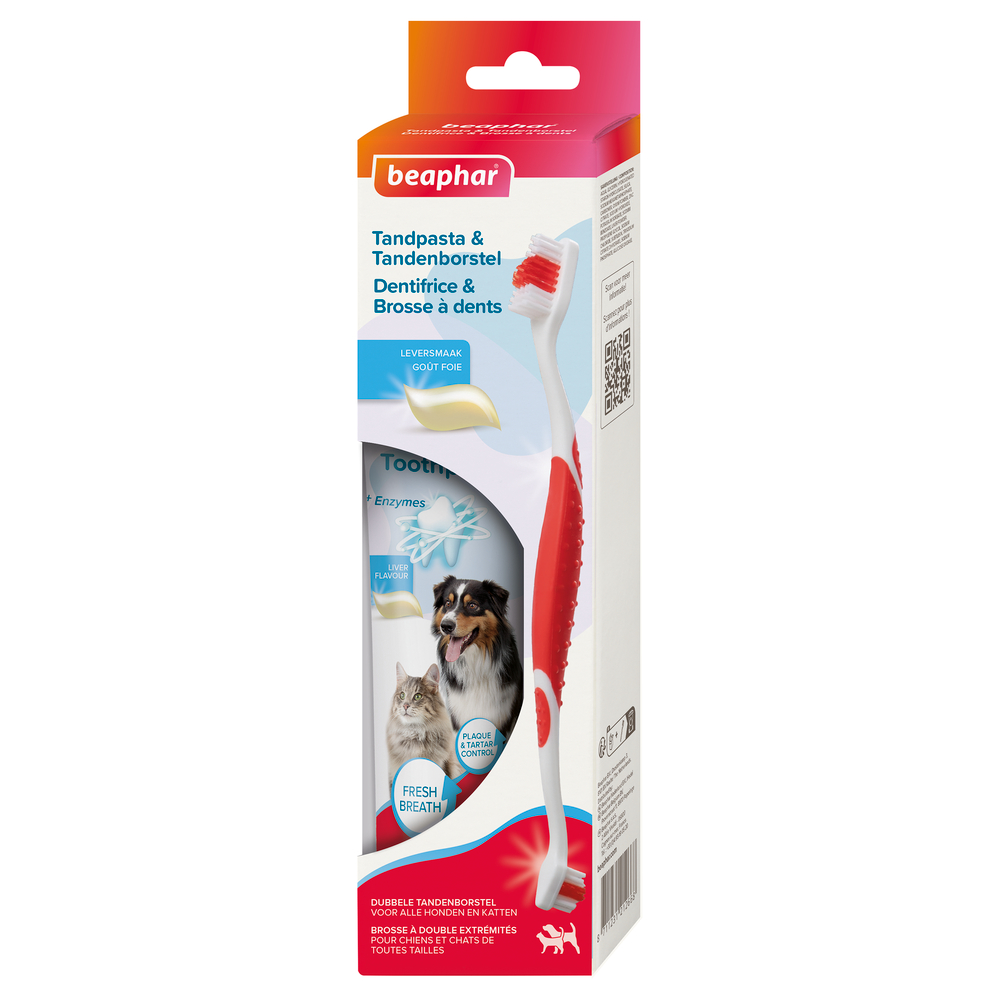 Kit brosse à dents et dentifrice pour chien et chat goût foie