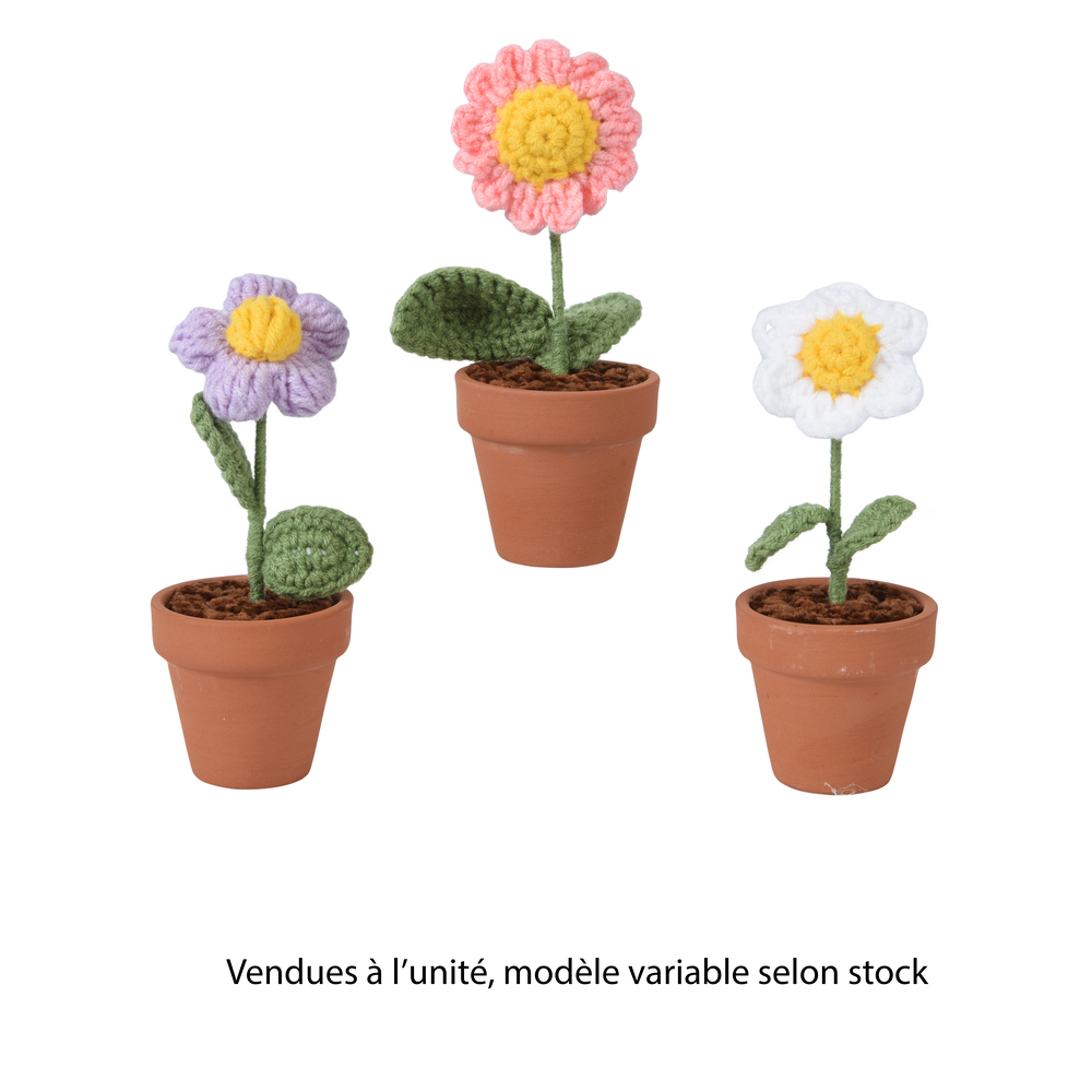 Marguerite en pot au crochet, modèles variables - D.5,5xH.13cm