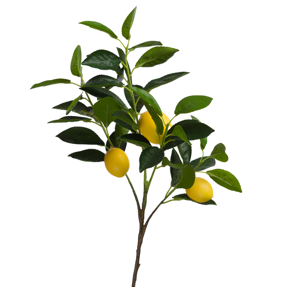 Tige 'Branche citron', coloris jaune - H.75cm