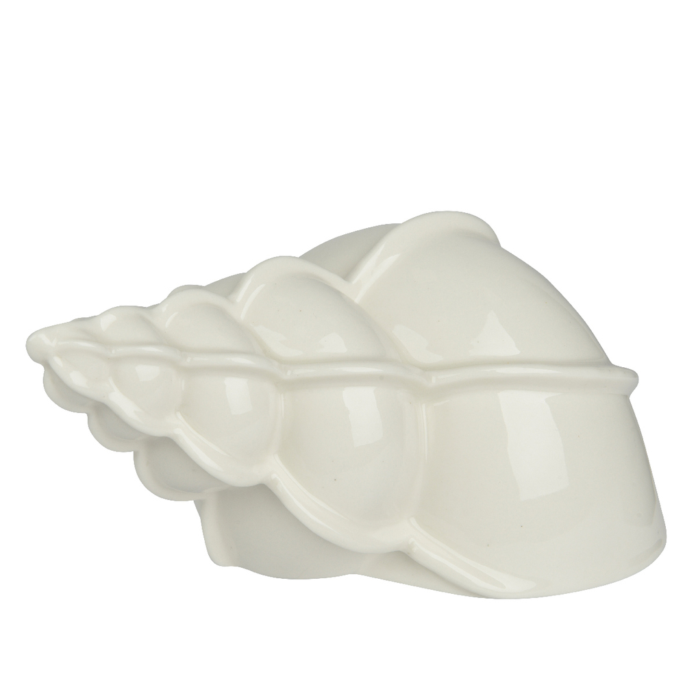 Coquillage en porcelaine, coloris blanc - L.13,5cm