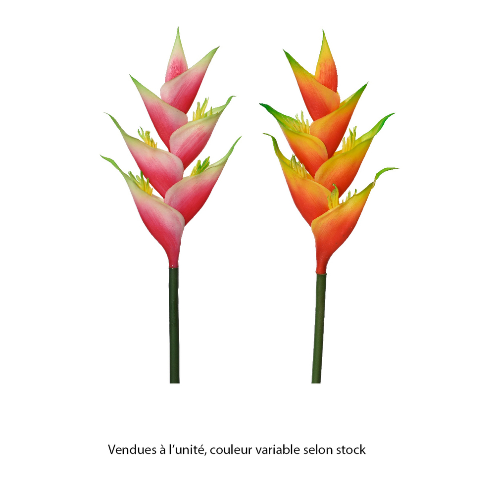 Fleur artificielle : tige d'Heliconia, coloris variables - H.91cm