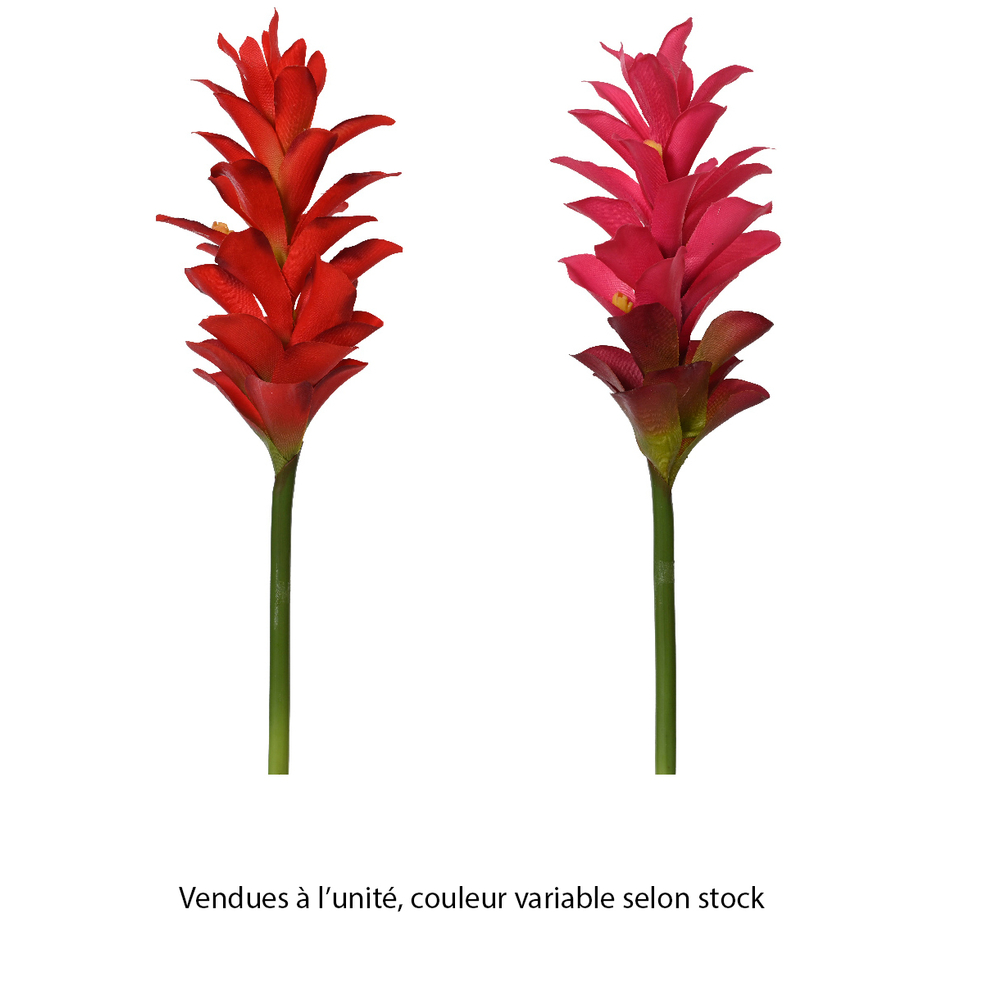 Fleur artificielle : tige de Guzmania, coloris variables - H.75cm