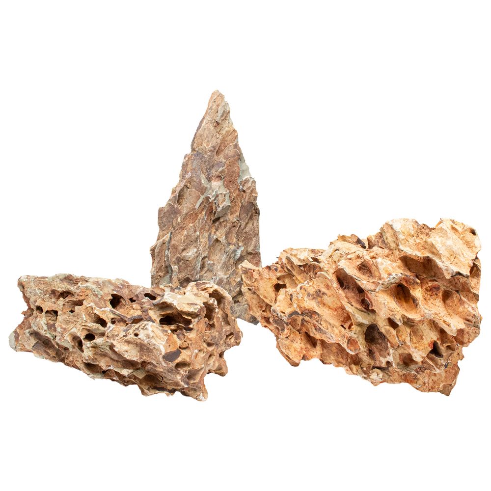 Pierre Canyon pour réptiles M
