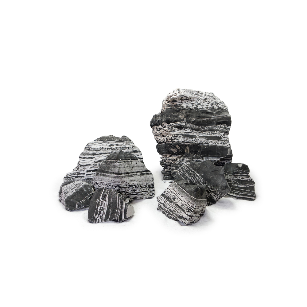 Pierre Black Multiwhite pour réptiles M