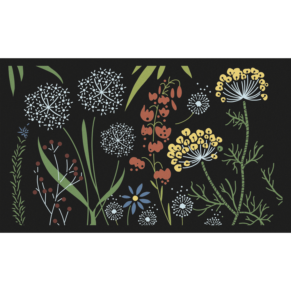 Paillasson d'intérieur 'Access champêtre', coloris noir - L.75xl.45cm