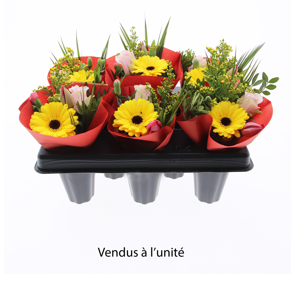 Bouquet de fleurs Mini's 8 tiges
