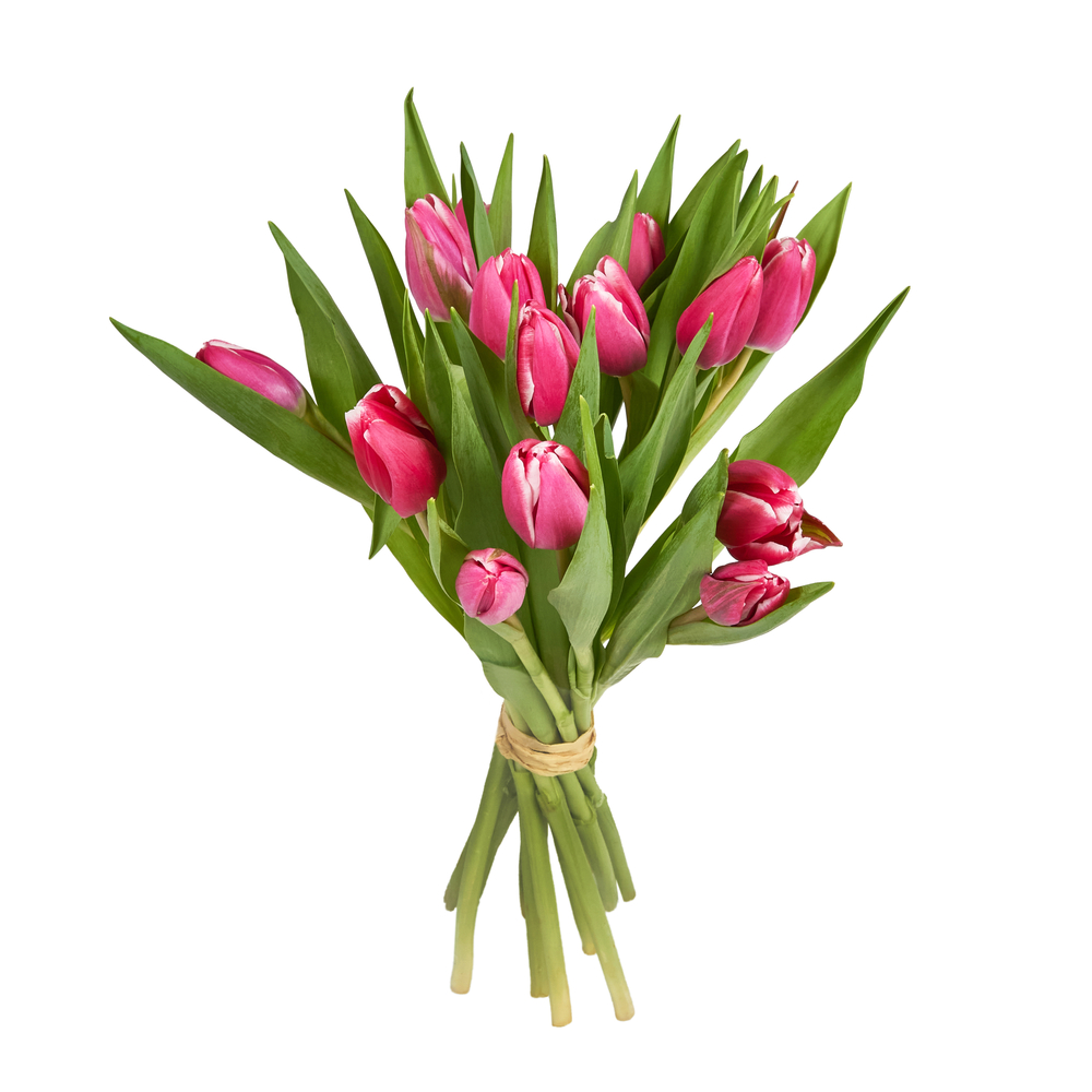 Botte de 14 tulipes, plusieurs coloris disponibles - H.40cm